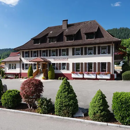 호텔 & Restaurant Belchenblick *